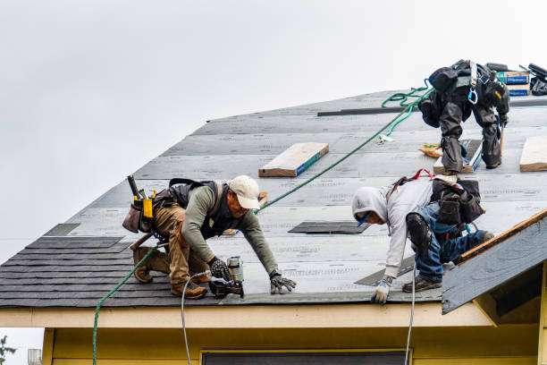 Professional Emergency Roof Repair technician working in Prairie City, IL